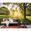 Picture of Golden Moment Wall Mural