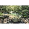 Picture of Tranquil Creek Wall Mural