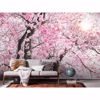Picture of Cherry Blossom Wall Mural