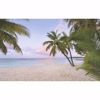 Picture of Paradise Morning Wall Mural