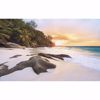 Picture of Beach Shore Wall Mural