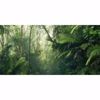 Picture of Green Tropics Wall Mural