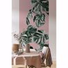 Picture of Monstera Rose Wall Mural