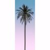 Picture of Ombre Palm Tree Wall Mural