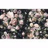 Picture of Victoria Black Floral Wall Mural