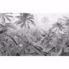 Picture of Amazonia Black and White Wall Mural
