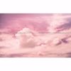 Picture of Cloud Wire Wall Mural