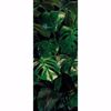 Picture of Tropical Leaves Wall Mural