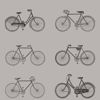 Picture of Turnblad Grey Bicycle Wallpaper