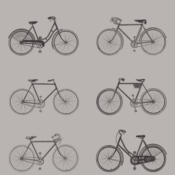 Show details for Turnblad Grey Bicycle Wallpaper