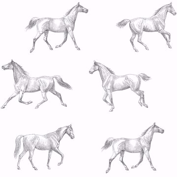 Show details for Burnett Off-White Horses Wallpaper