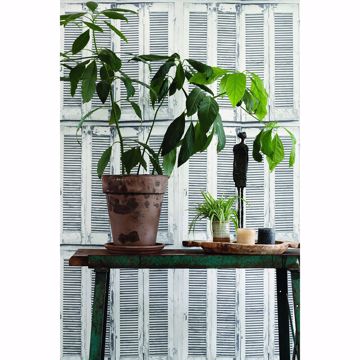 Show details for Lansbury Off-White Distressed Shutter Wallpaper