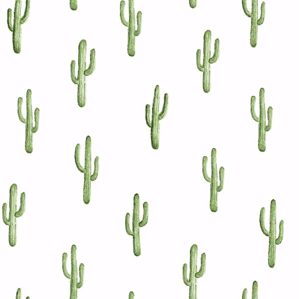 Picture of Peron Green Cactus Wallpaper