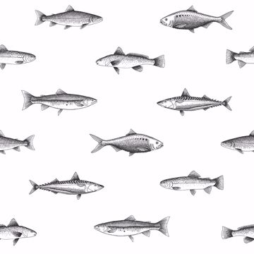 Show details for Fiyero Off-White Fish Wallpaper