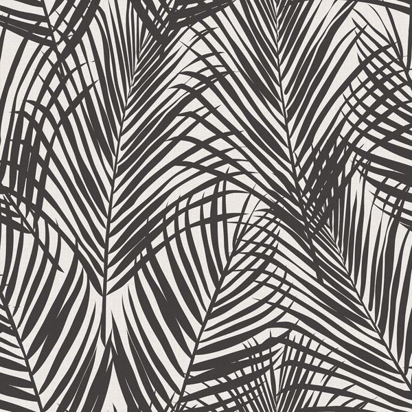 Picture of Fifi Black Palm Frond Wallpaper
