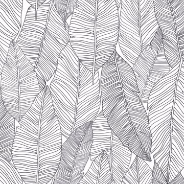 Show details for Thuy Grey Banana Leaves Wallpaper