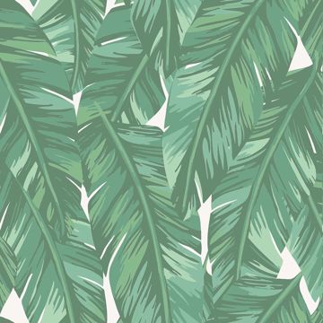 Picture of Dumott Green Tropical Leaves Wallpaper