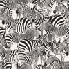 Picture of Jemima Black Zebra Wallpaper