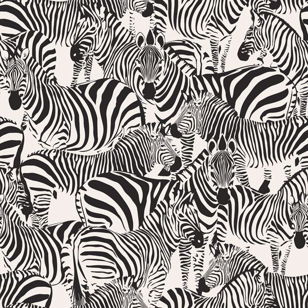Picture of Jemima Black Zebra Wallpaper