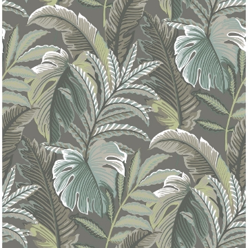 Picture of Verdant Dark Grey Botanical Wallpaper