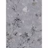 Picture of Misty Charcoal Distressed Dandelion Wallpaper