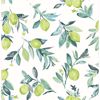 Picture of Limon Green Fruit Wallpaper