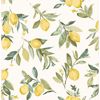 Picture of Limon Yellow Fruit Wallpaper