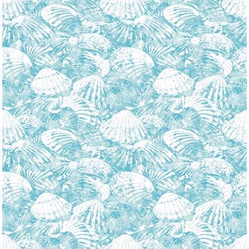 Picture of Surfside Aqua Shells Wallpaper
