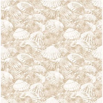 Picture of Surfside Beige Shells Wallpaper