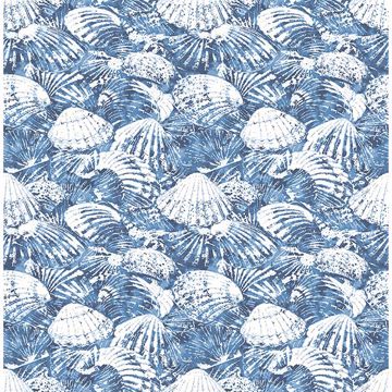 Picture of Surfside Blue Shells Wallpaper