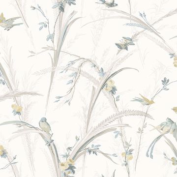 Picture of Meadowlark Light Grey Botanical Wallpaper