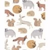 Picture of Mickel Brown Animals Wallpaper