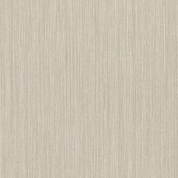 Picture of Derrie Bone Distressed Texture Wallpaper