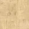 Picture of Ozone Gold Texture Wallpaper