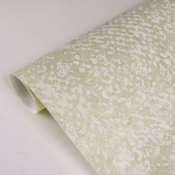 Show details for Carson Champagne Distressed Texture Wallpaper