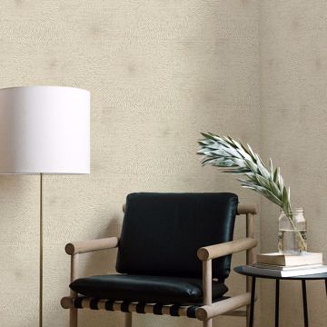 Show details for Zion Champagne Starburst Wallpaper