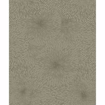 Picture of Zion Coffee Starburst Wallpaper
