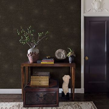 Show details for Zion Black Starburst Wallpaper