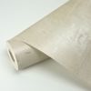 Picture of Portia Beige Distressed Texture Wallpaper