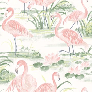 Picture of Everglades Coral Flamingos Wallpaper