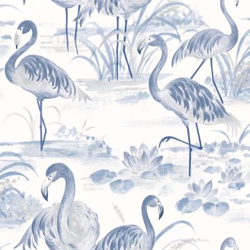 Picture of Everglades Blue Flamingos Wallpaper