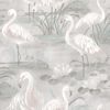 Picture of Everglades Grey Flamingos Wallpaper