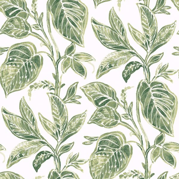 Picture of Mangrove Green Botanical Wallpaper