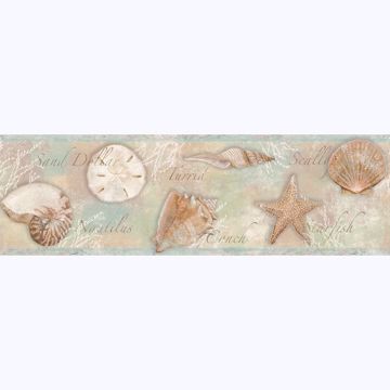 Show details for Quinten Brown Shells Border