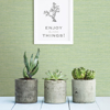 Picture of Agave Green Imitation Grasscloth Wallpaper