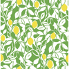 Picture of Loretto Lime Citrus Wallpaper