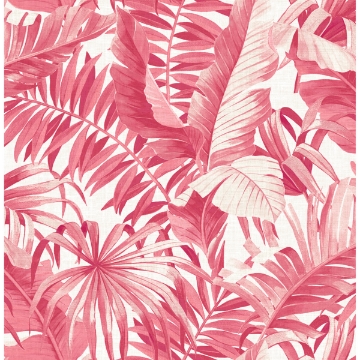 Picture of Alfresco Pink Tropical Palm Wallpaper