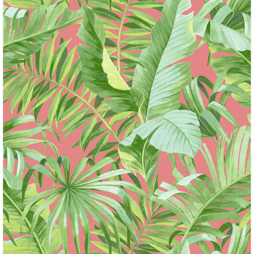 Picture of Alfresco Coral Tropical Palm Wallpaper