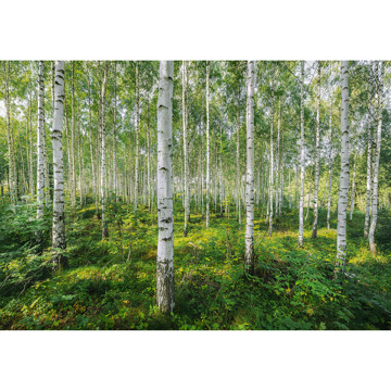 Show details for Sunny Day Wall Mural