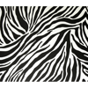 Picture of Zebra Adhesive Film